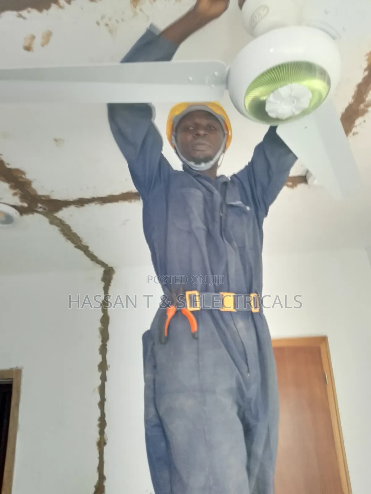 Professional Electrician