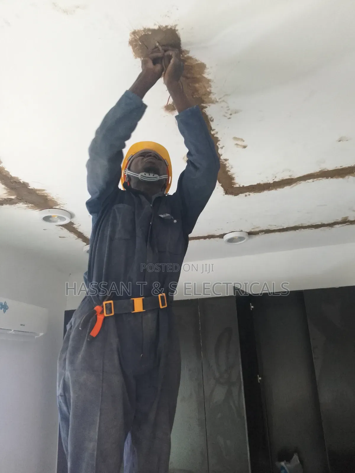 Professional Electrician