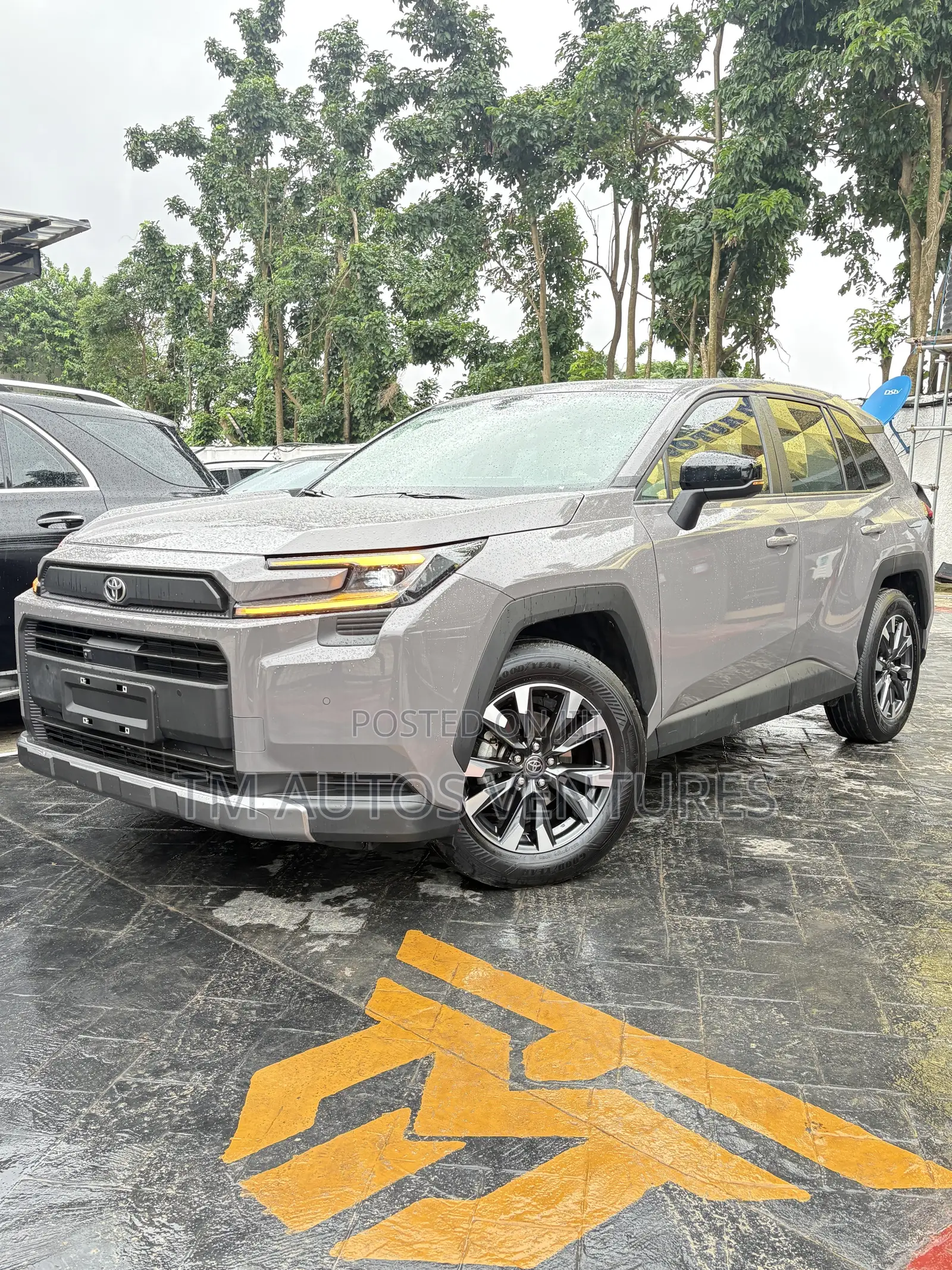 Toyota RAV4 2026 Gray