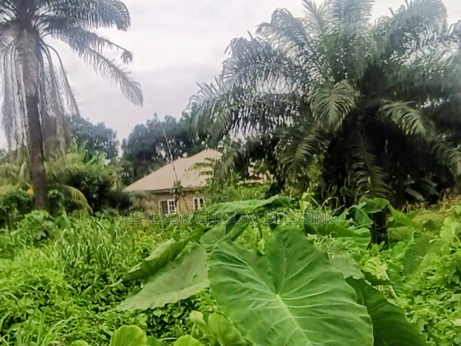 Land for Sale in Old Umuahia Abia State