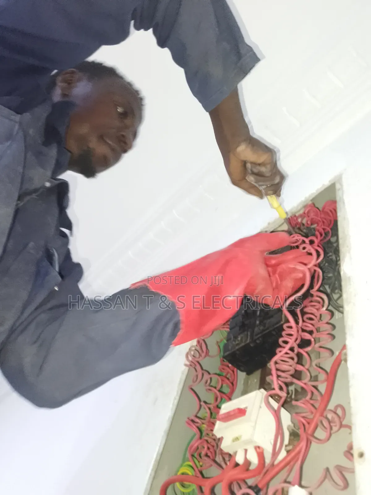 Professional Electrician
