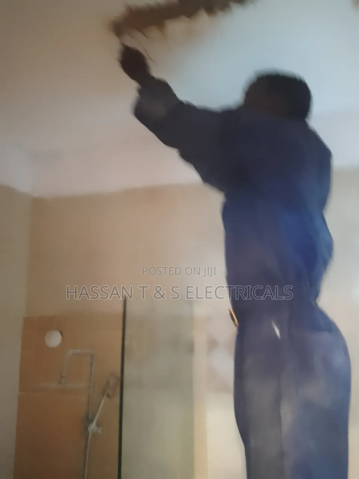 Professional Electrician