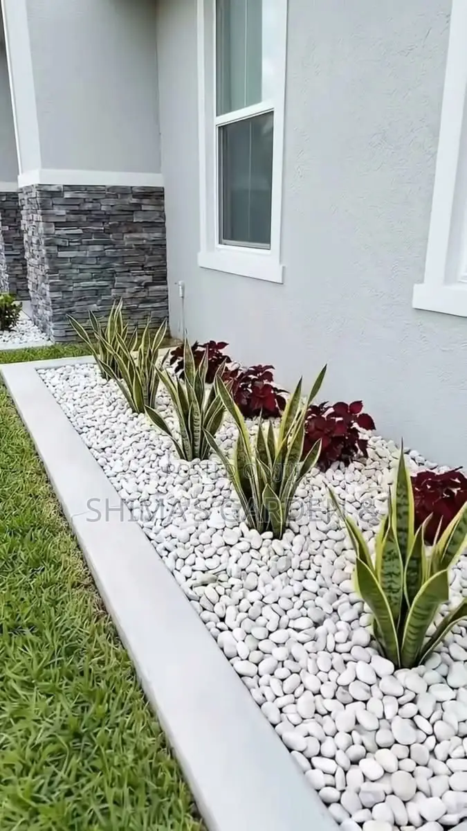 Fresh Natural Plants