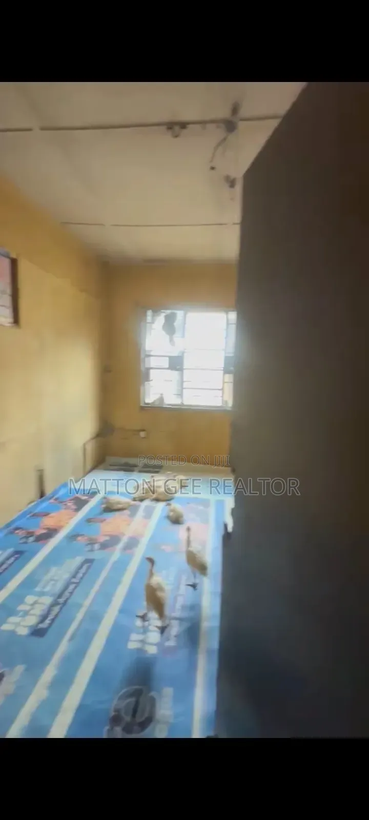 A Whole Storey Building for Lease