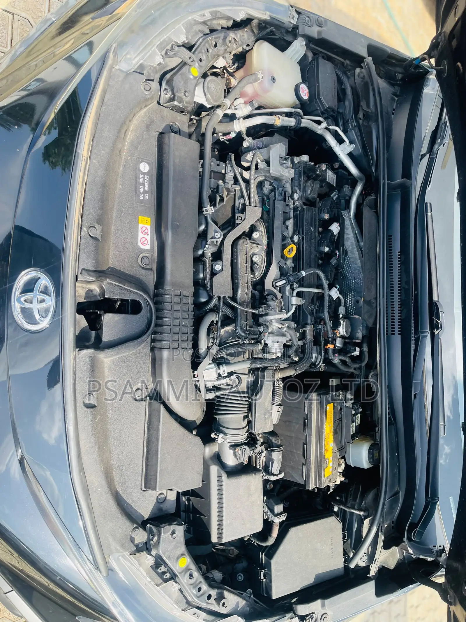 Toyota Corolla SE 2020 Black