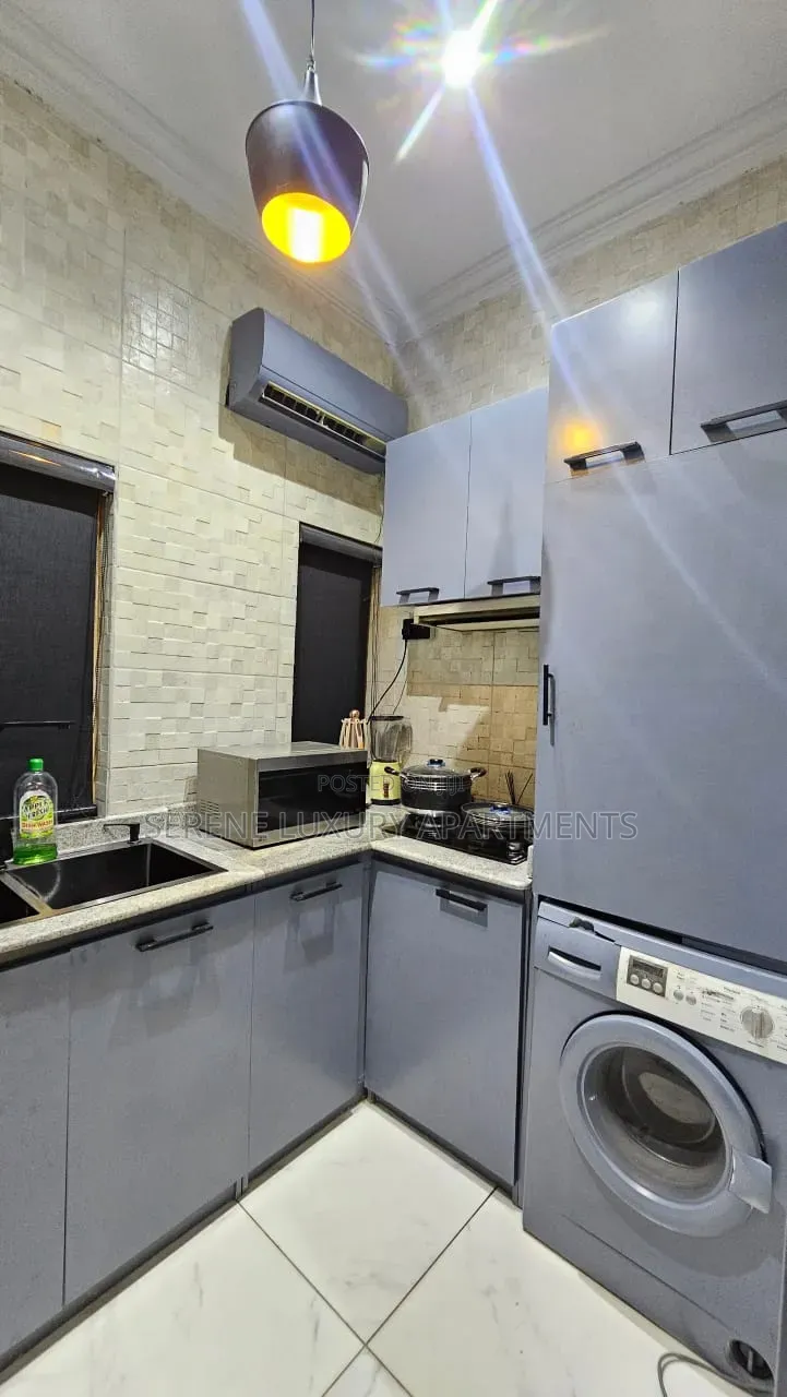 Luxury One Bedroom Apartment With Swimming Pool and Gym