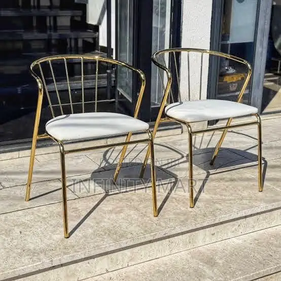 Sleek Modern Restaurant/Dining Chair