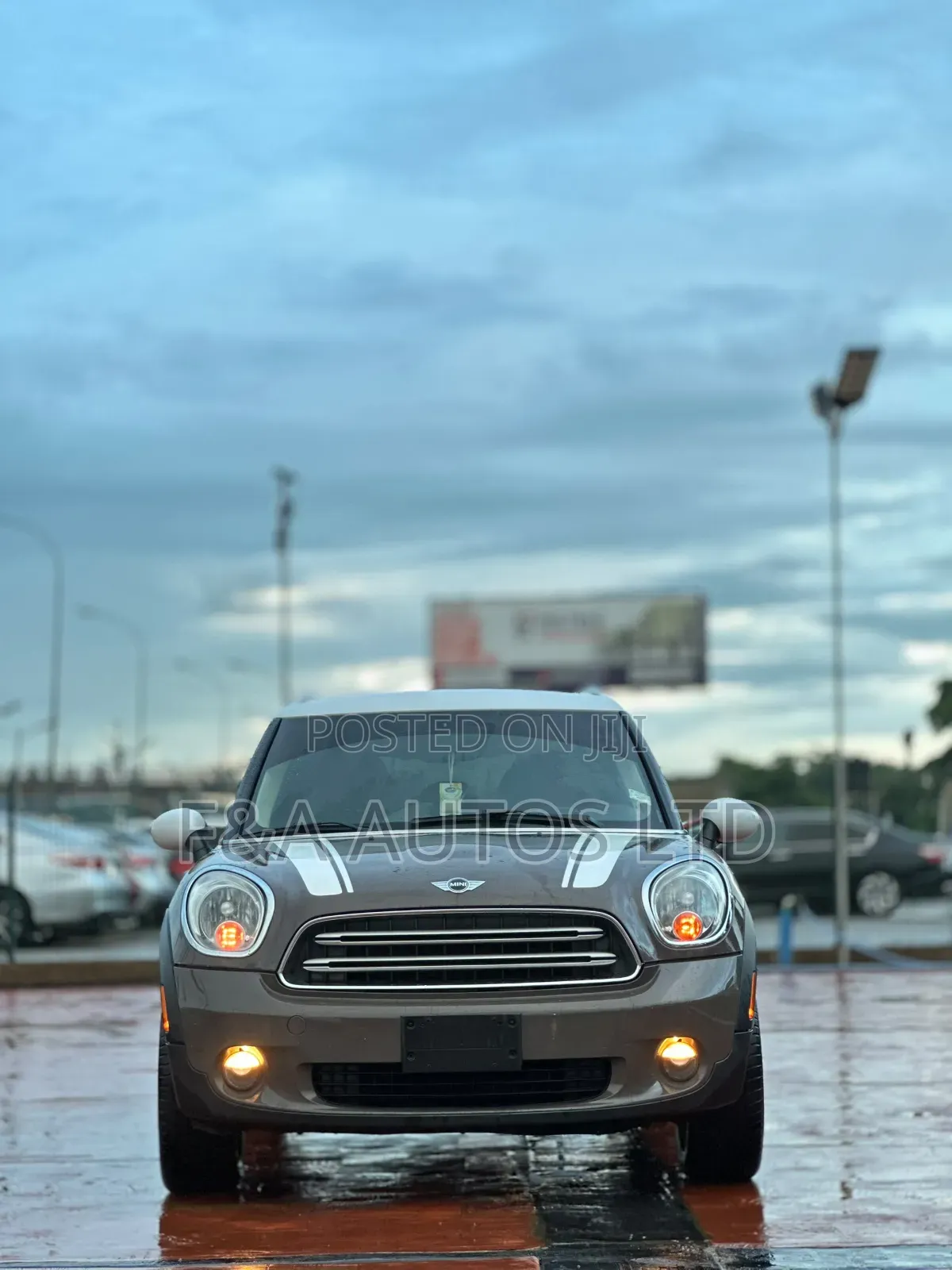 Mini Mini 2015 Brown