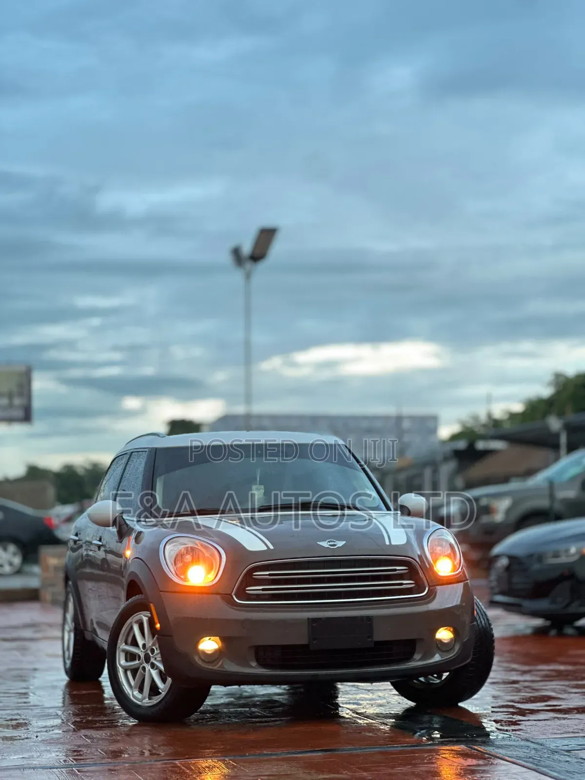 Mini Mini 2015 Brown