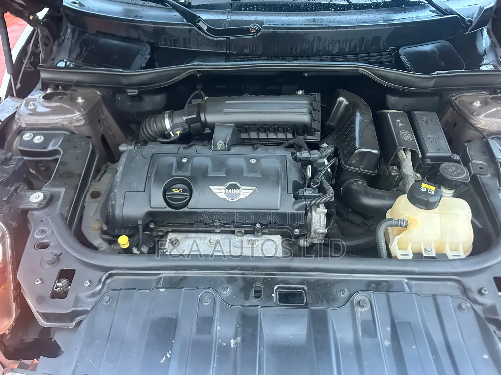 Mini Mini 2015 Brown