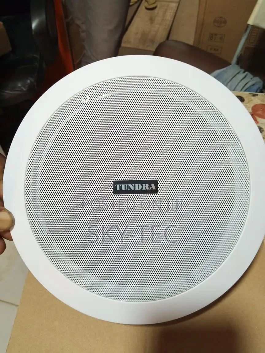 Tundra 30watts Passive Ceiling Speakers
