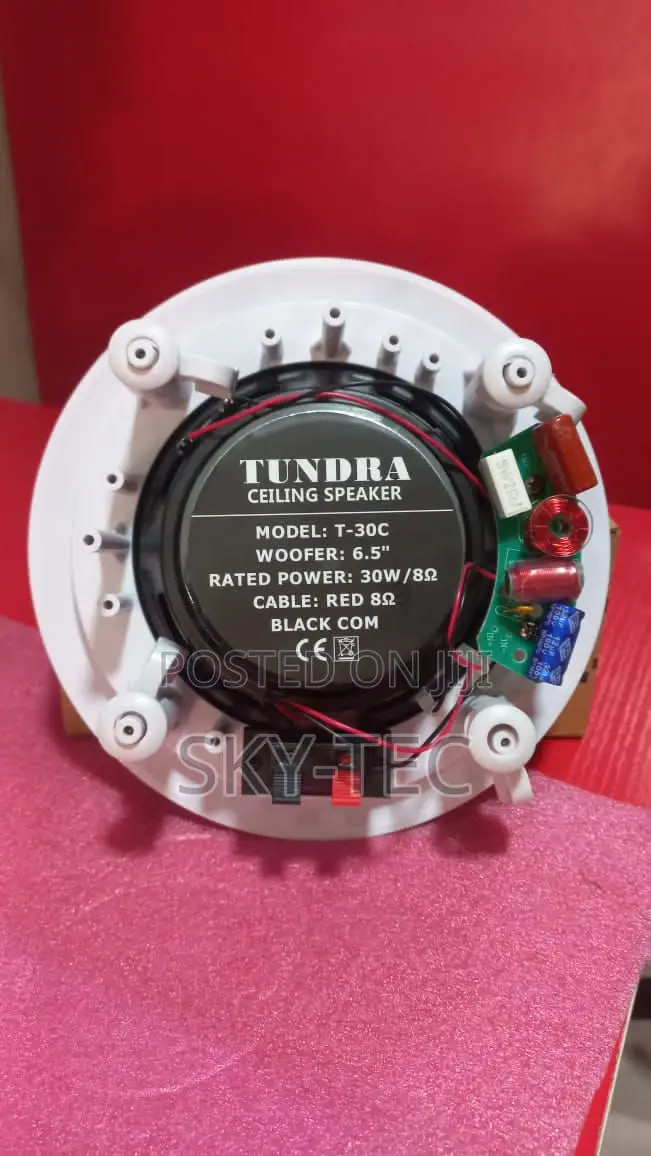 Tundra 30watts Passive Ceiling Speakers