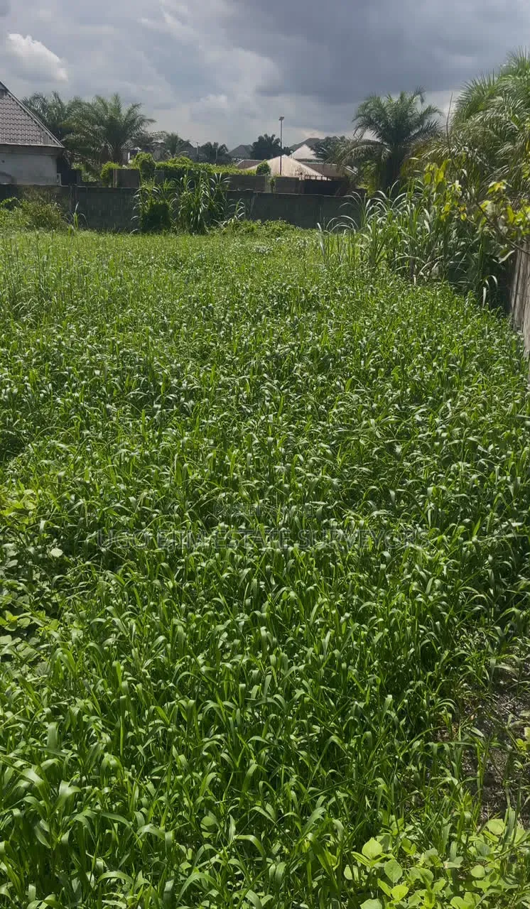 Fenced Two Plots of Land