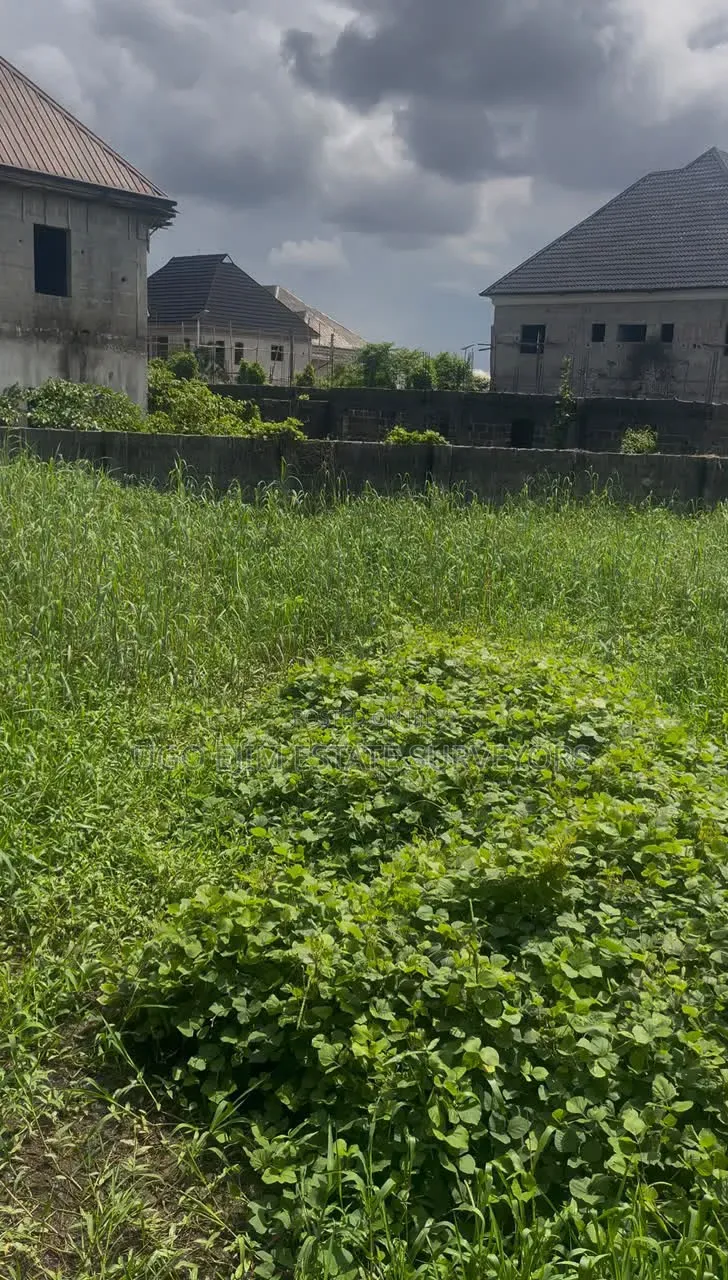 Fenced Two Plots of Land