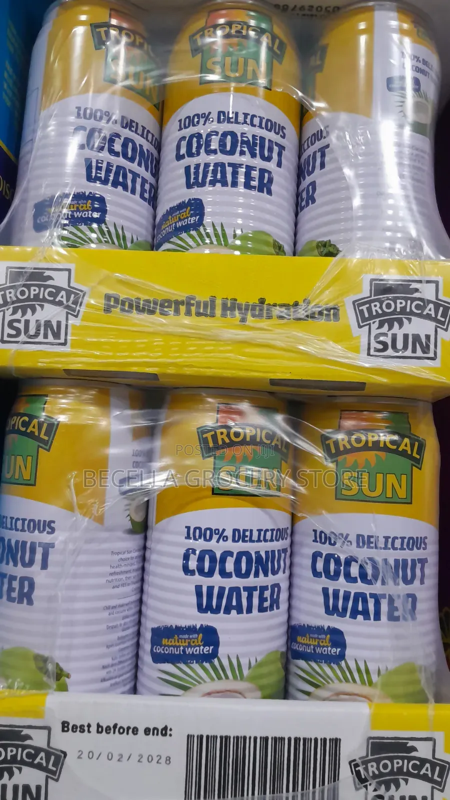 Tropical Sun Coconut Water 520ml ×12