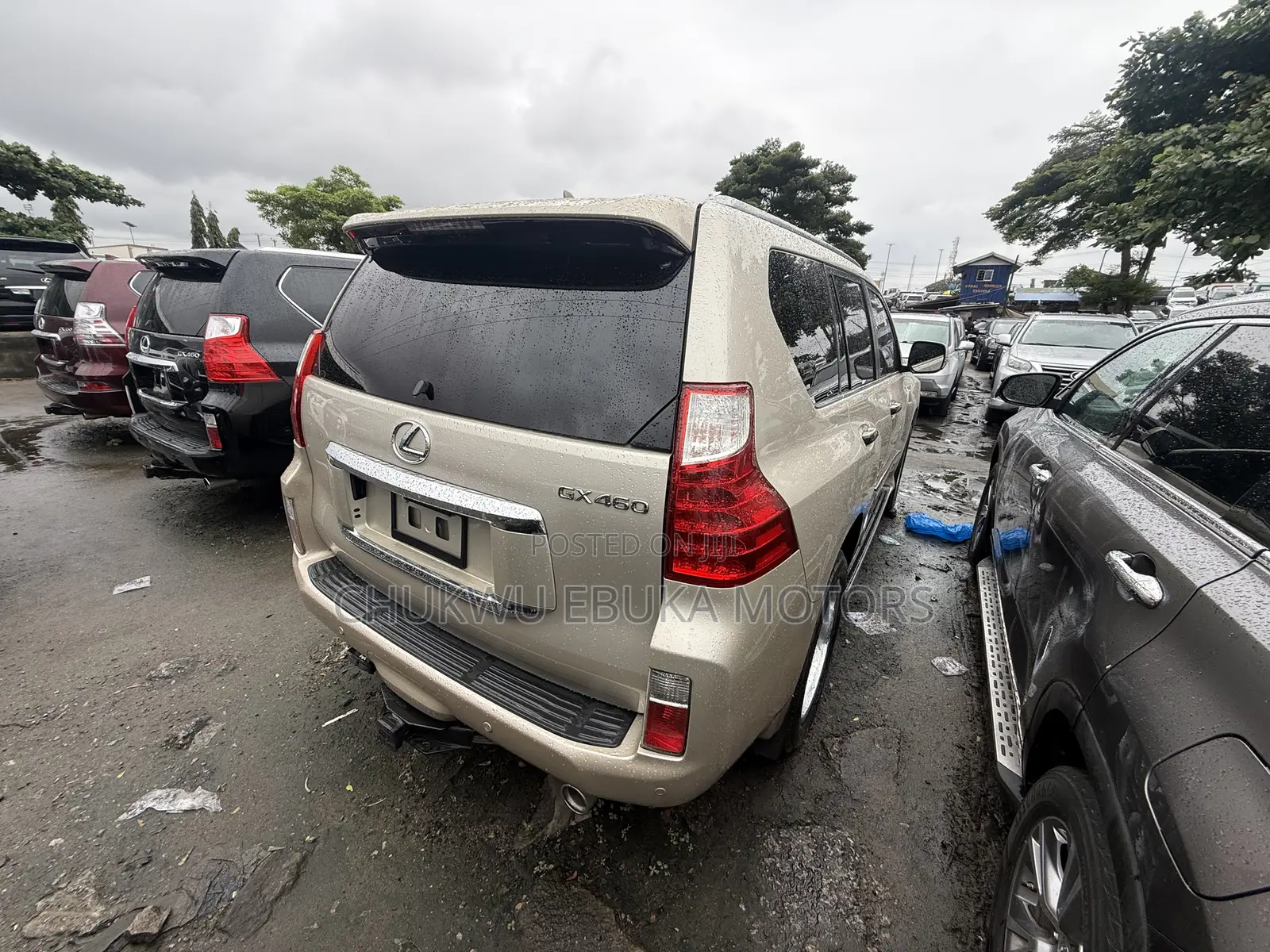 Lexus GX 460 Base 2013 Gold