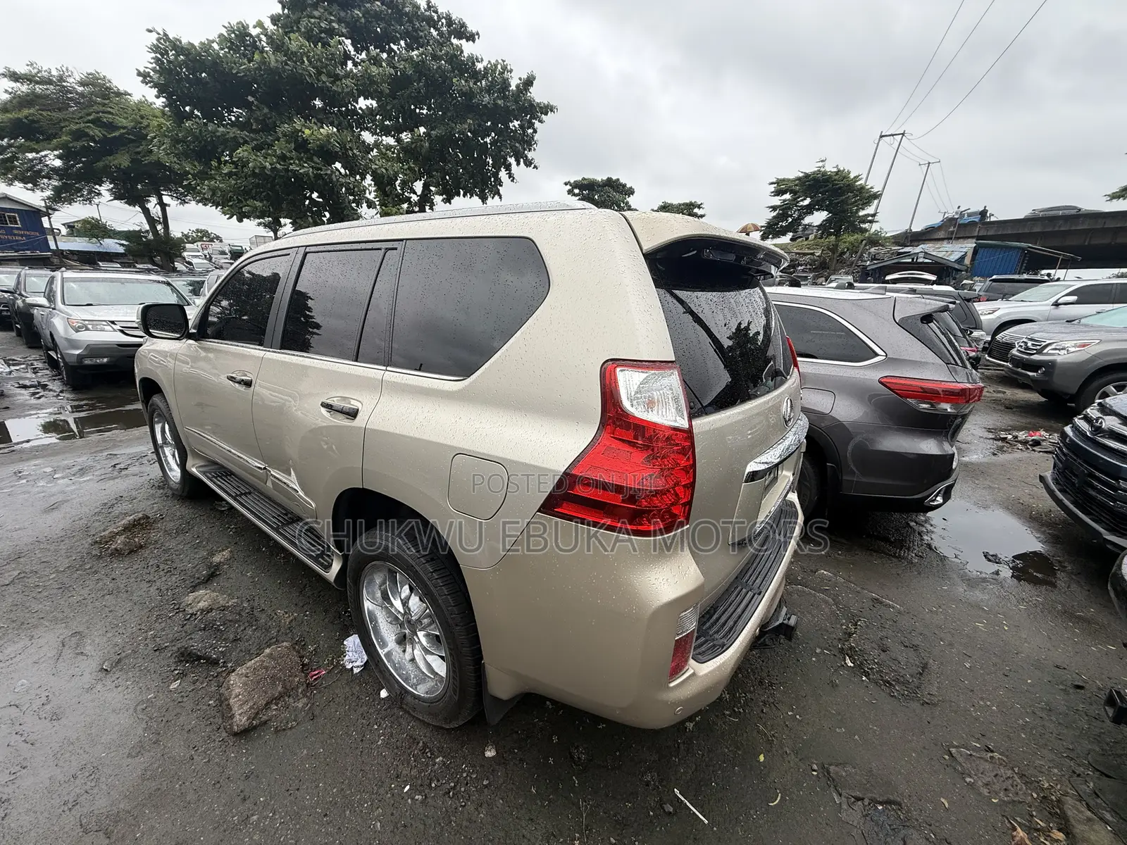 Lexus GX 460 Base 2013 Gold