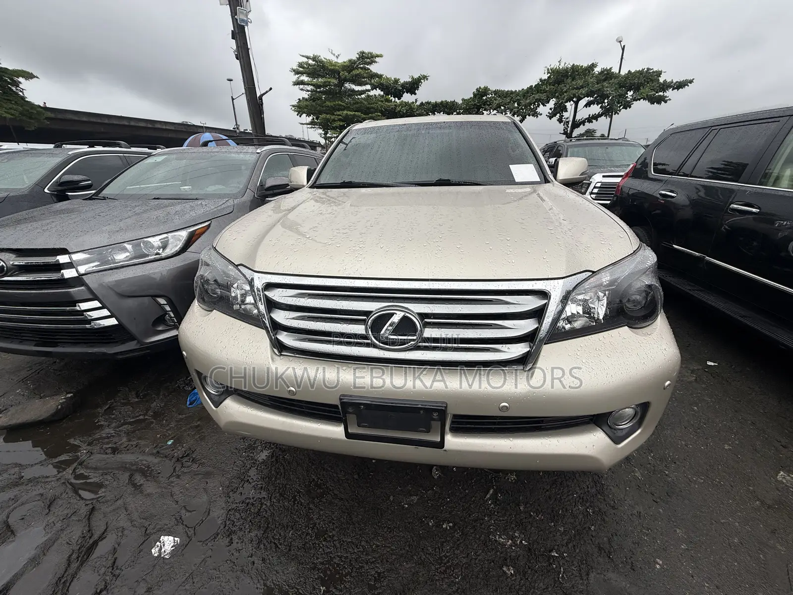 Lexus GX 460 Base 2013 Gold