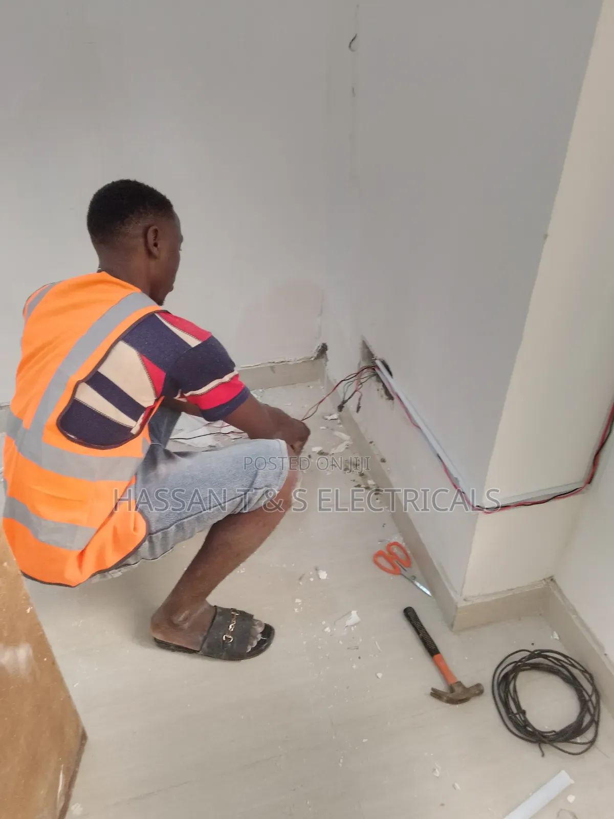 Professional Electrician
