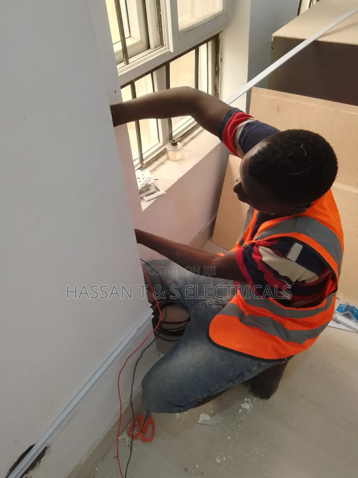 Professional Electrician