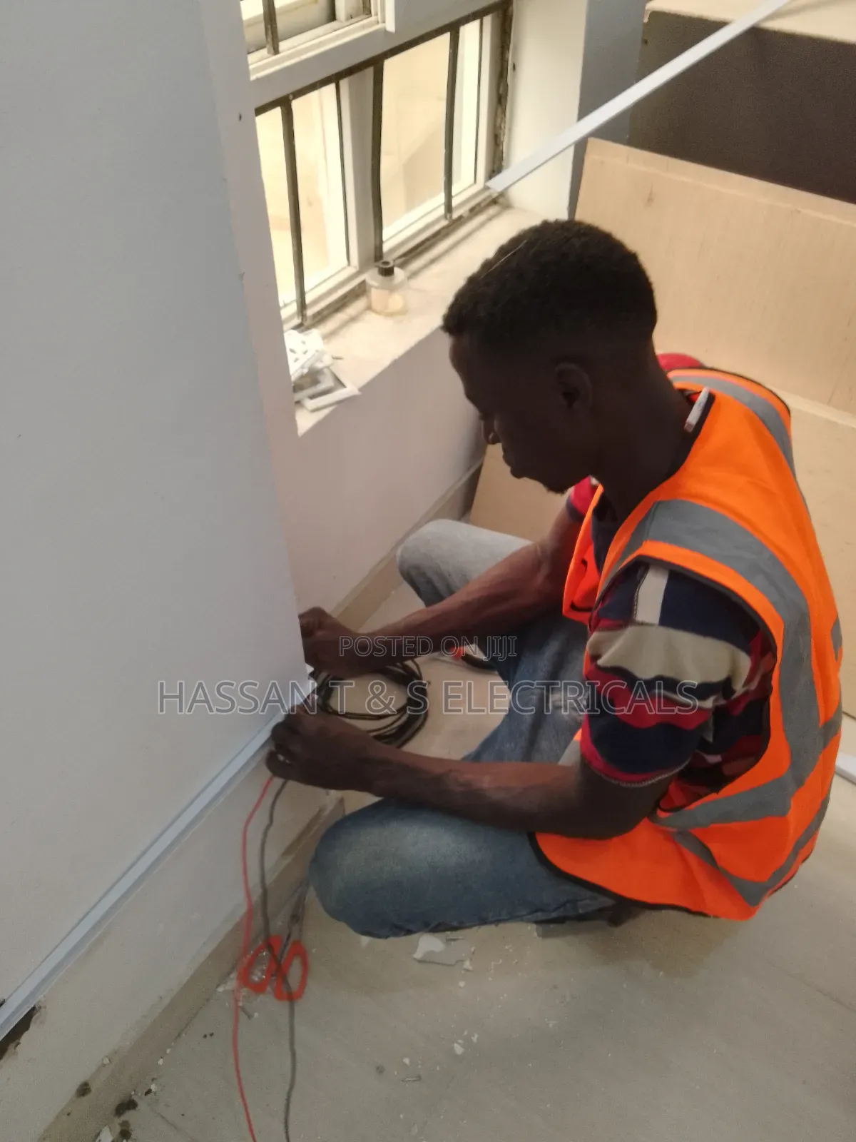 Professional Electrician