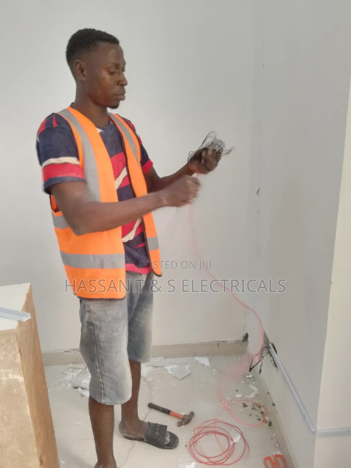 Professional Electrician
