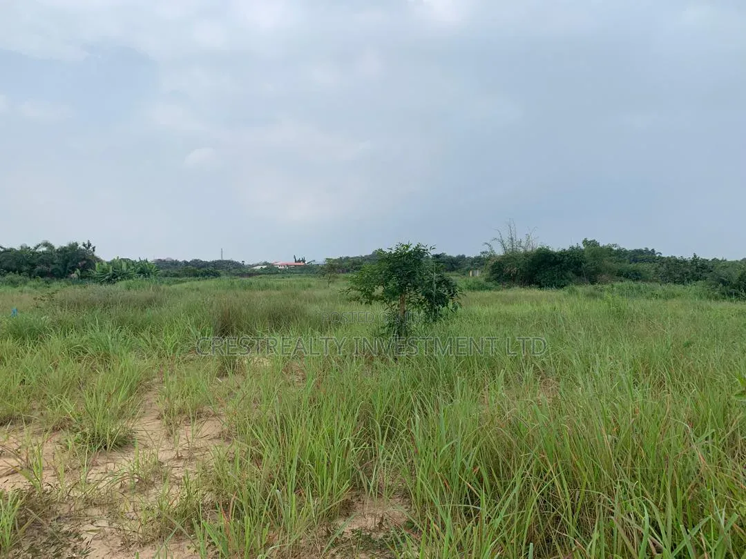 One Acre of Land for Sale