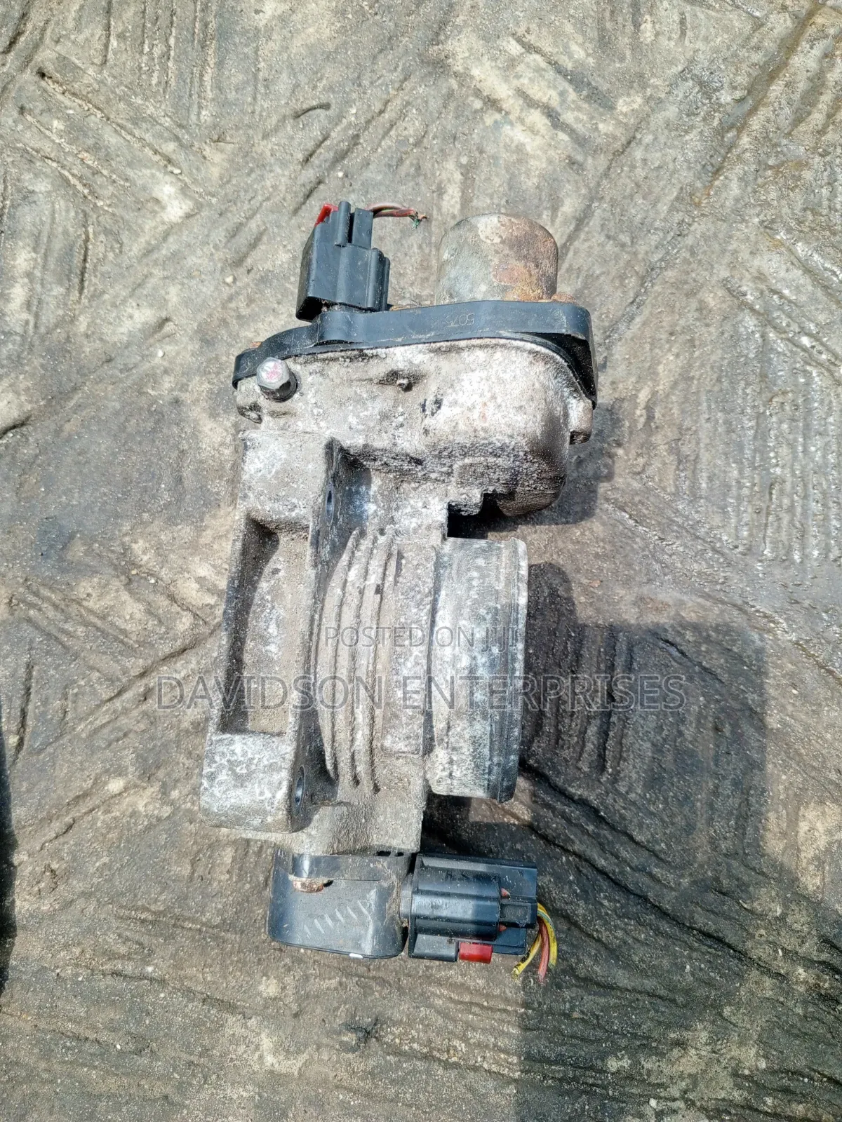 Trutle Mouth Ford V8