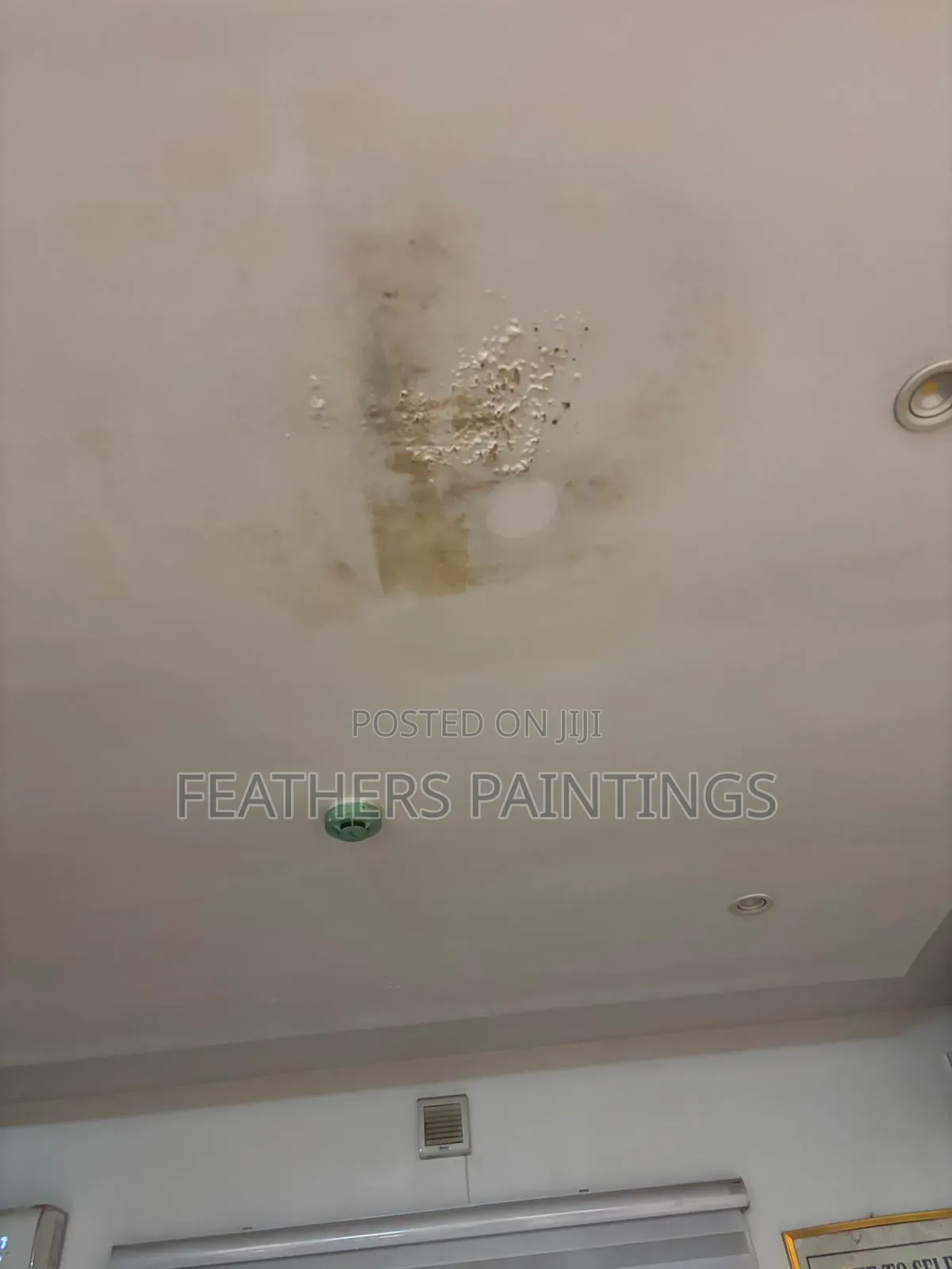 Mould Treatment and Wall Repainting