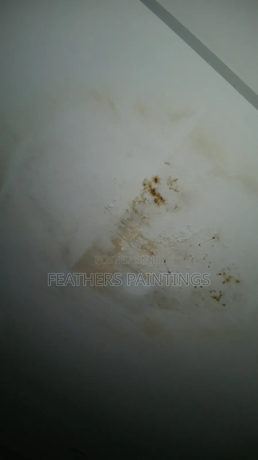 Mould Treatment and Wall Repainting
