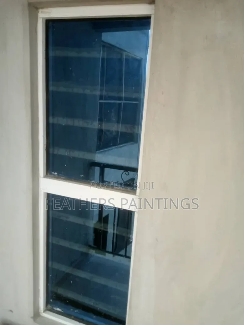 Professional Cleaning Services