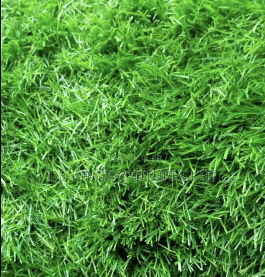 Carpet Grass Rug Sold in SQM and Rolls
