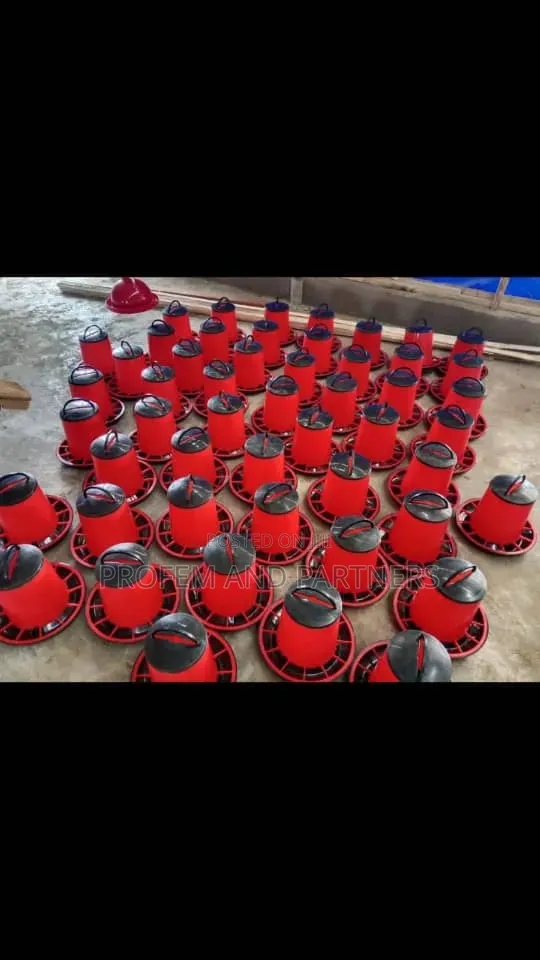 Chicken Feeder