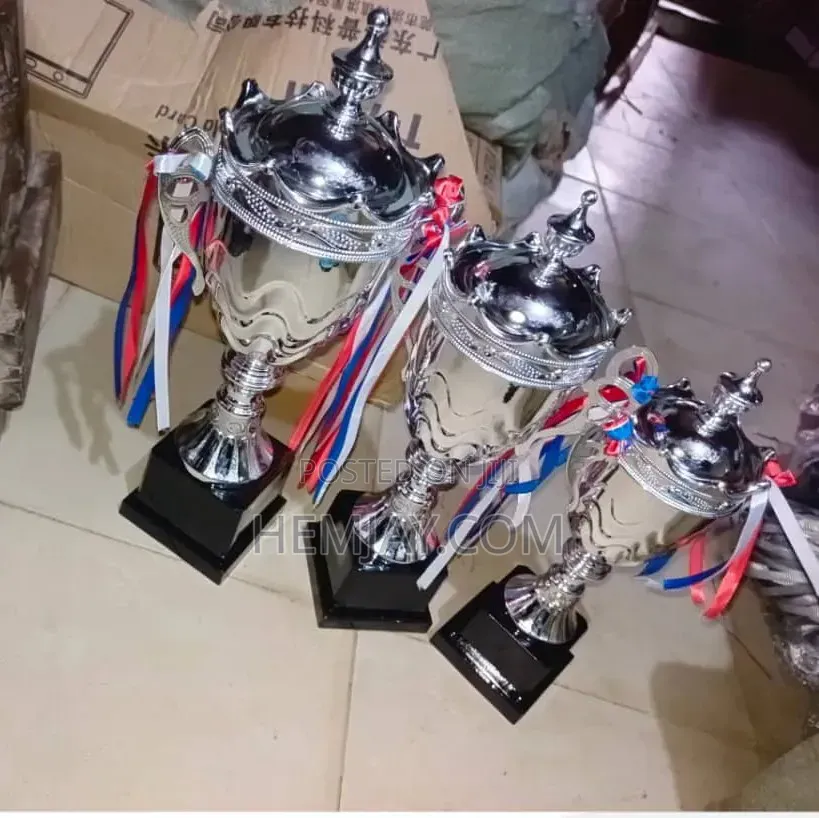Silver Trophy Award Statue