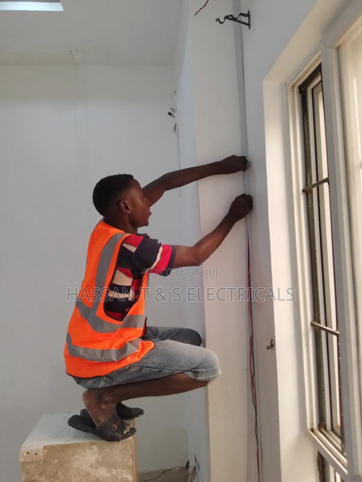 Professional Electrician