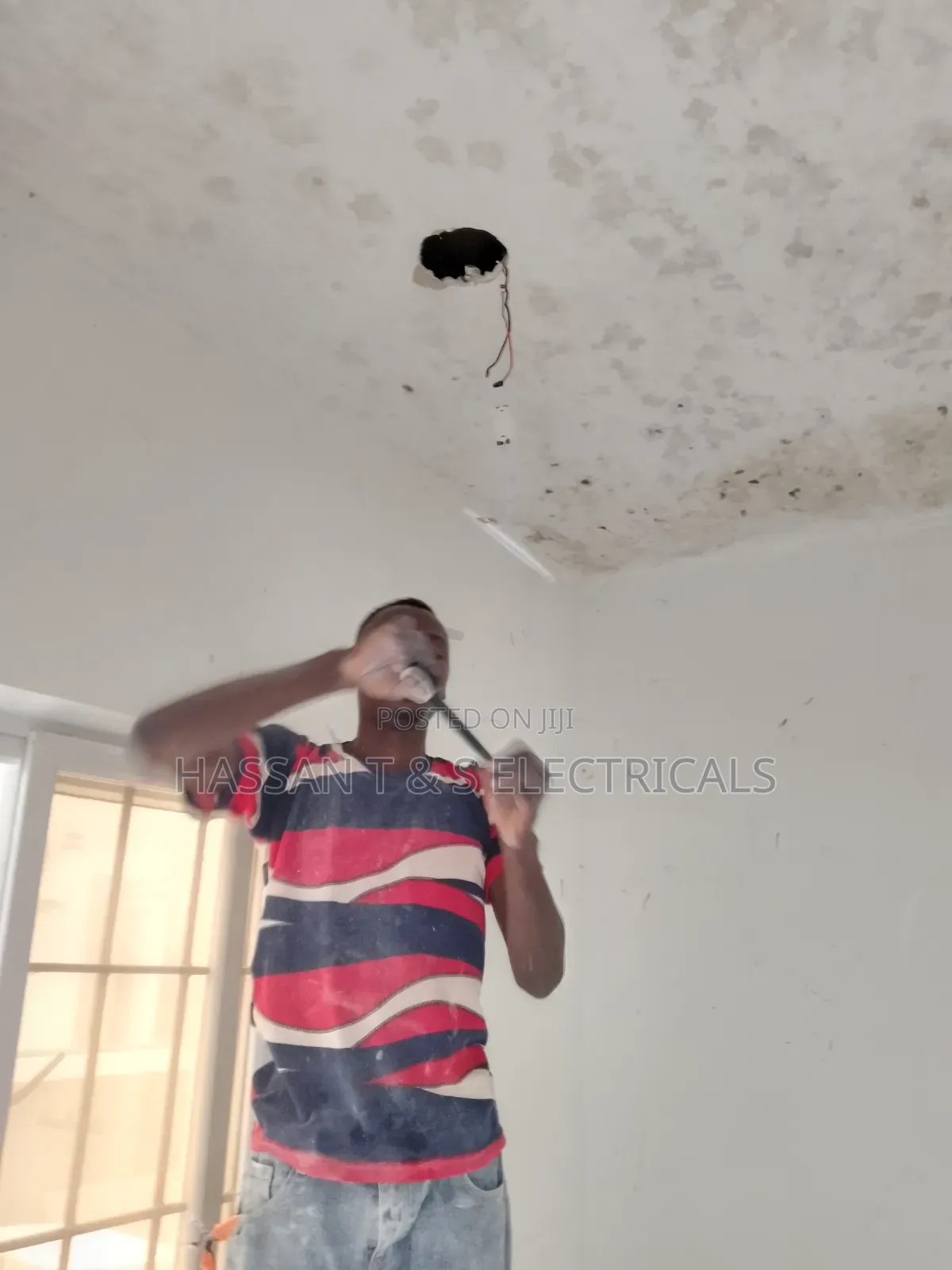 Professional Electrician