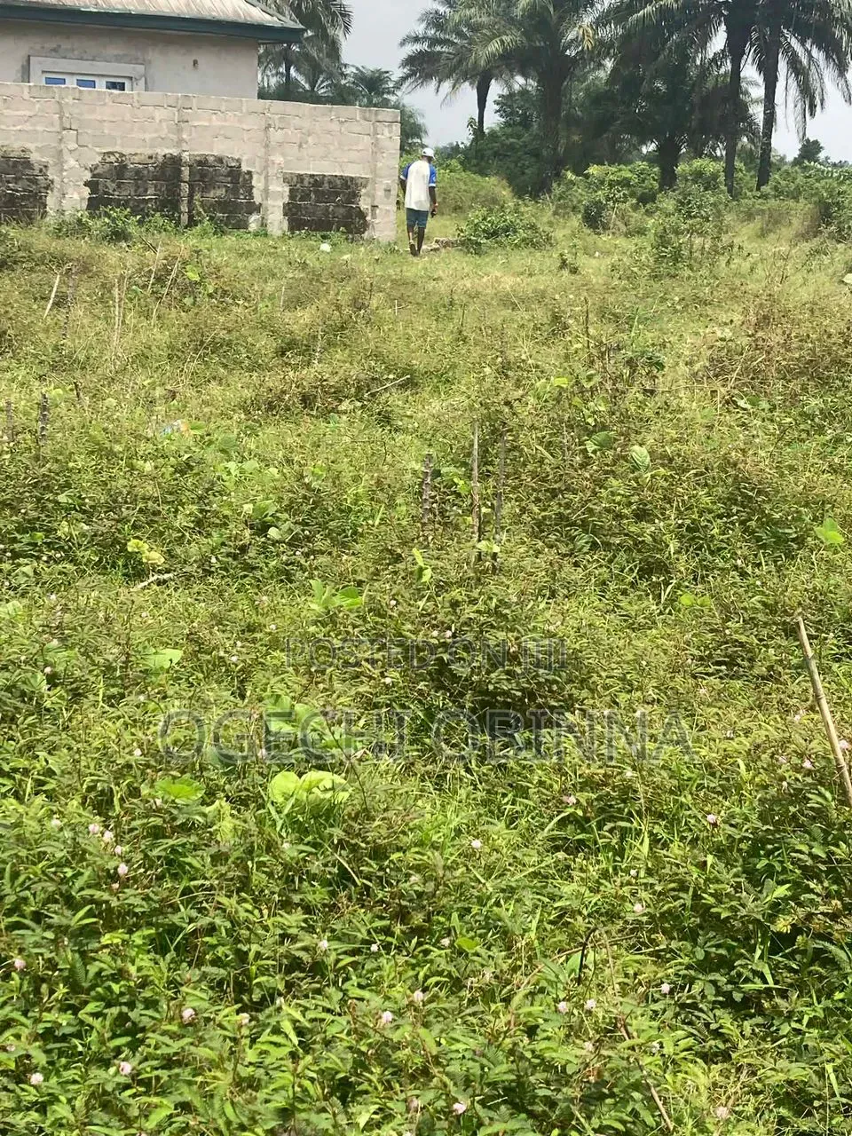 Hurry Now! Urgent Distress Sale of One Plot