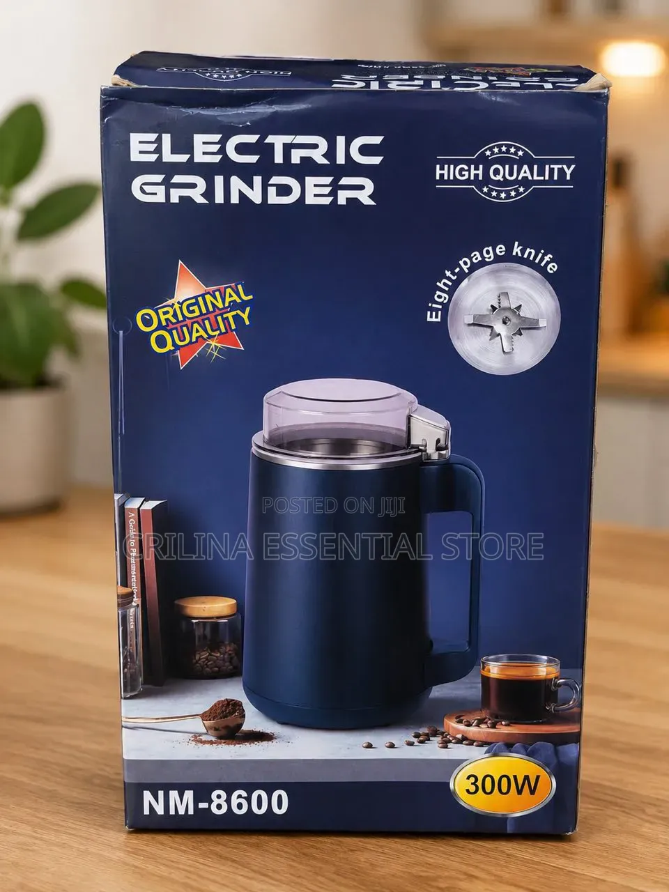Electric Dry Grinder 300Watts