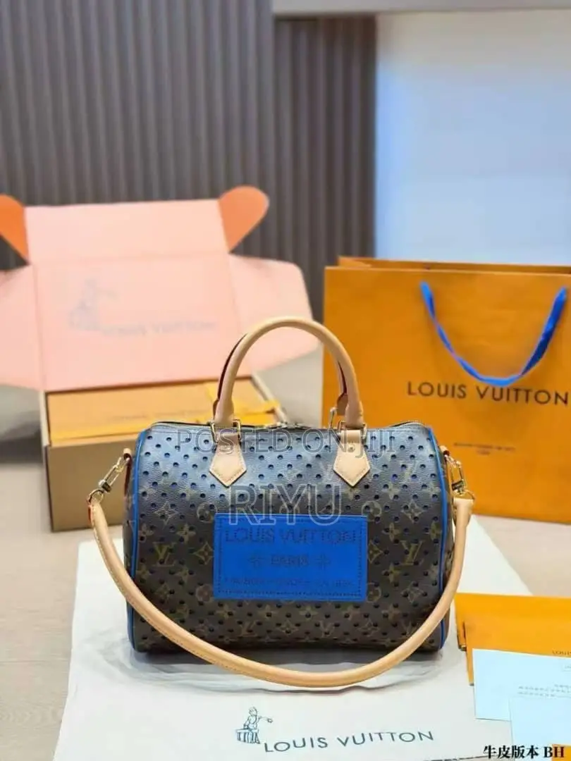 Classic Louis Vuitton Women’s Handbag
