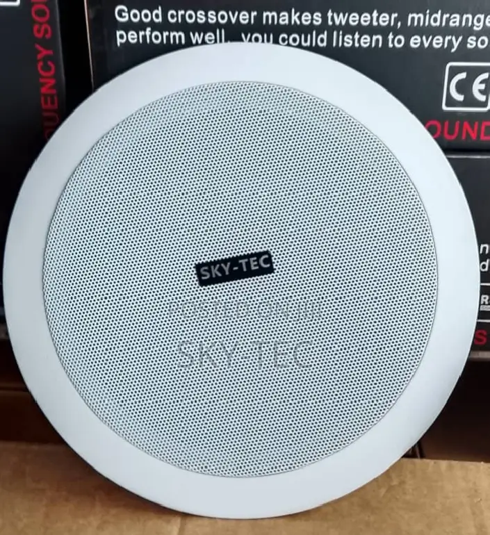 ORIGINAL Professional Sky-Tec Smart Home Pop Ceiling Speaker 30Watts