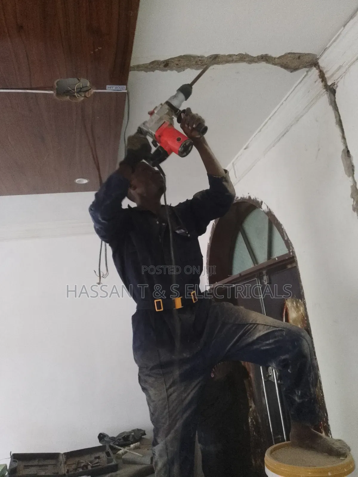 Professional Electrician