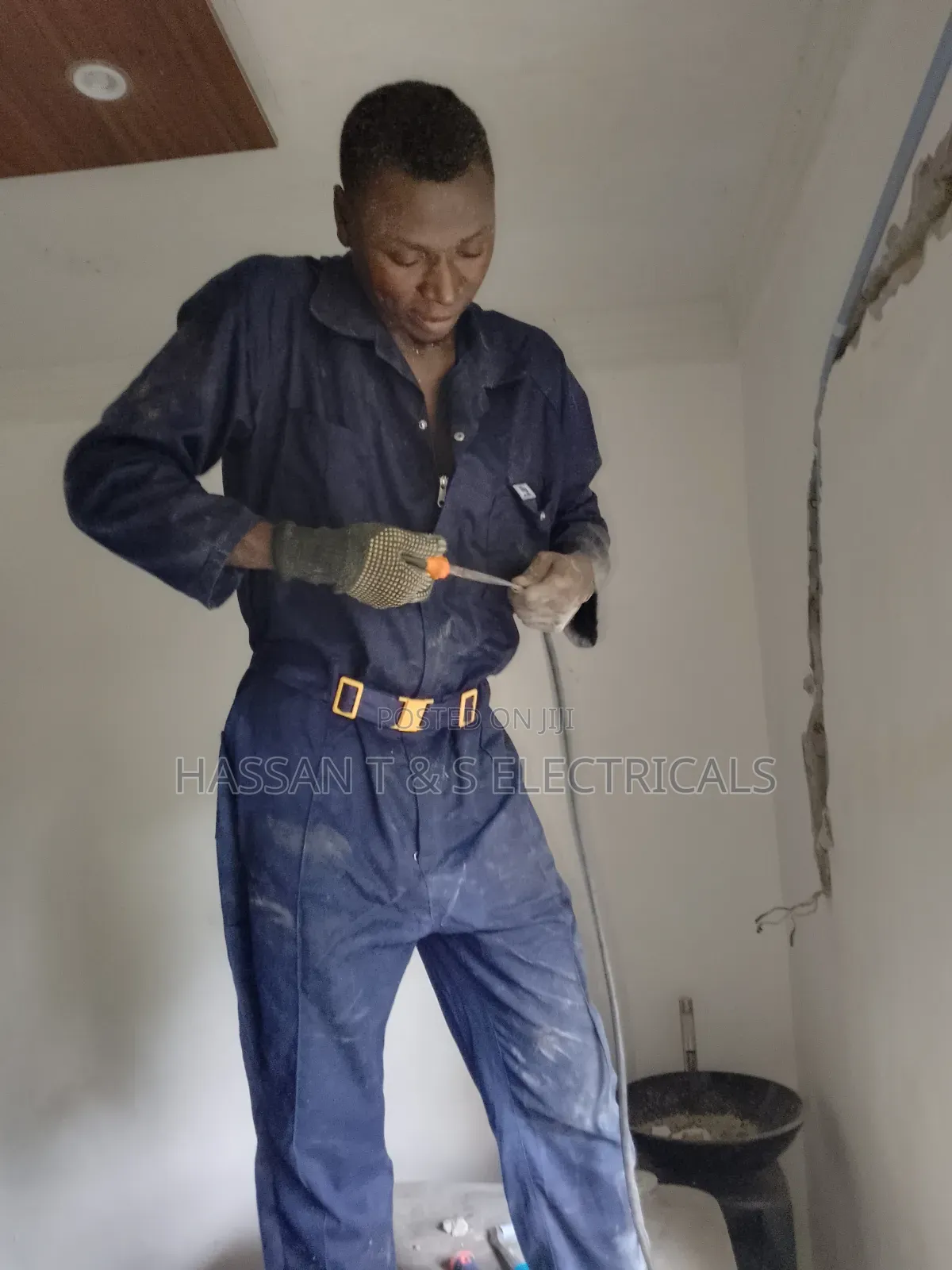 Professional Electrician