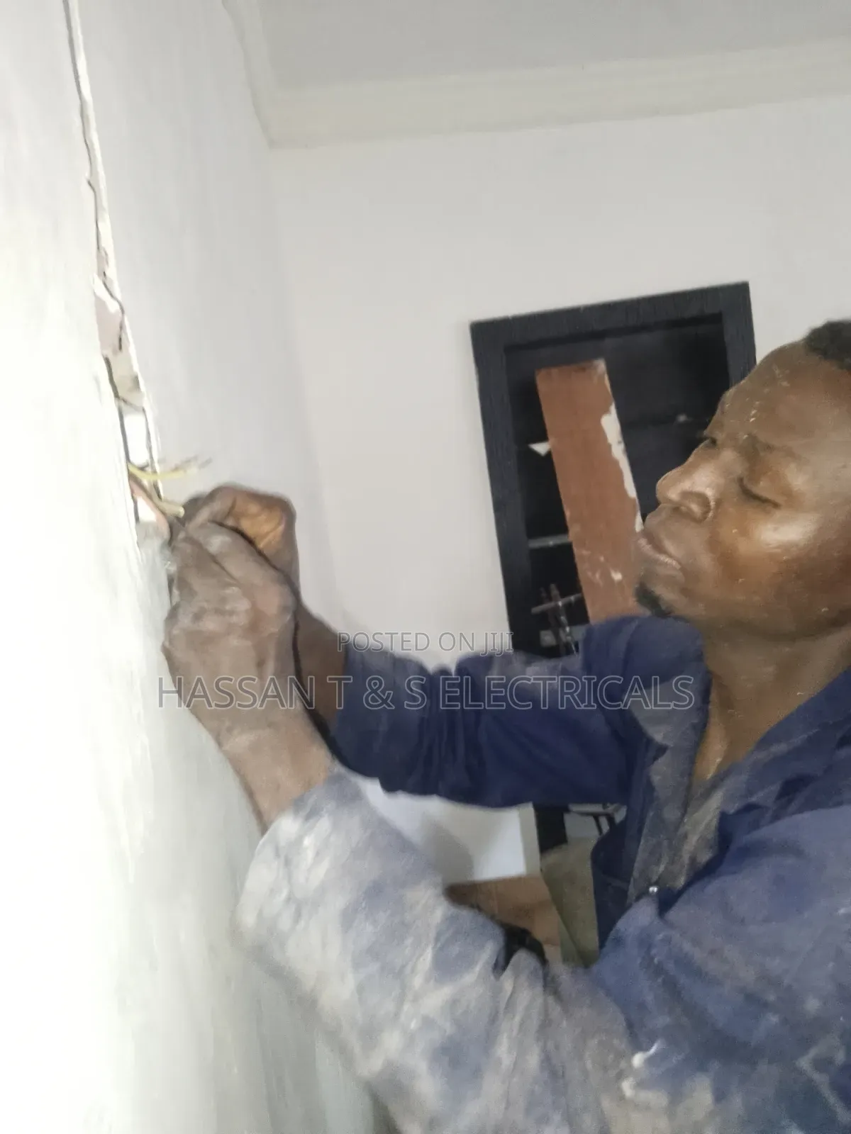 Professional Electrician