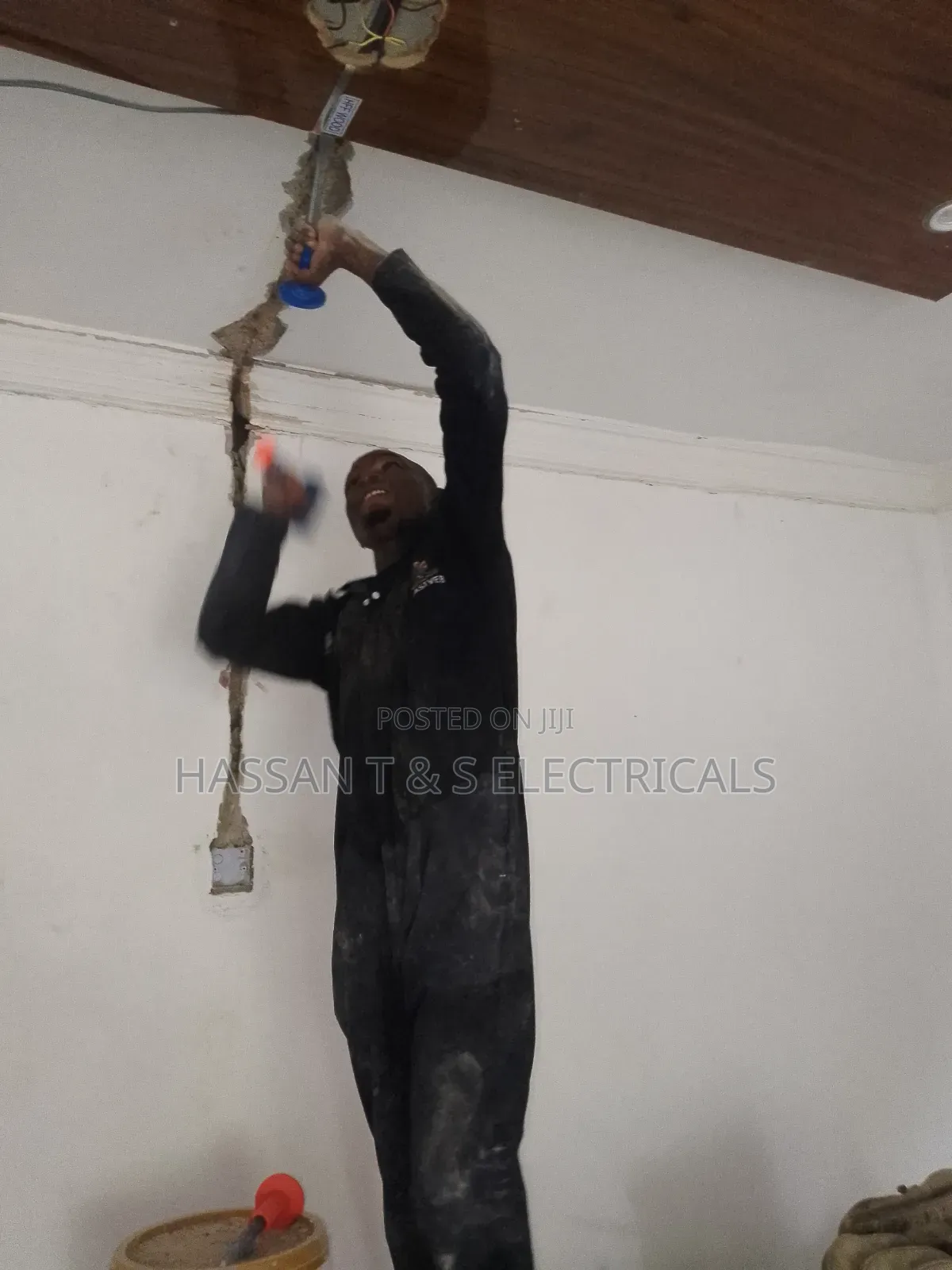 Professional Electrician