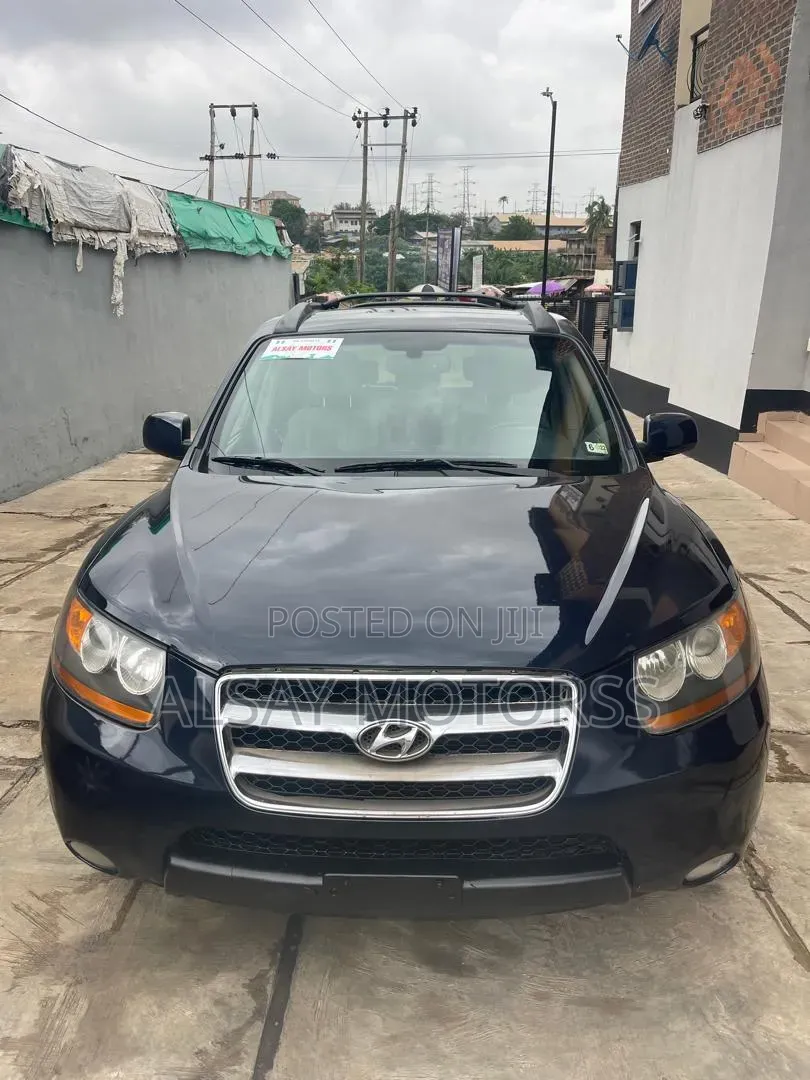 Hyundai Santa Fe 2009 Blue