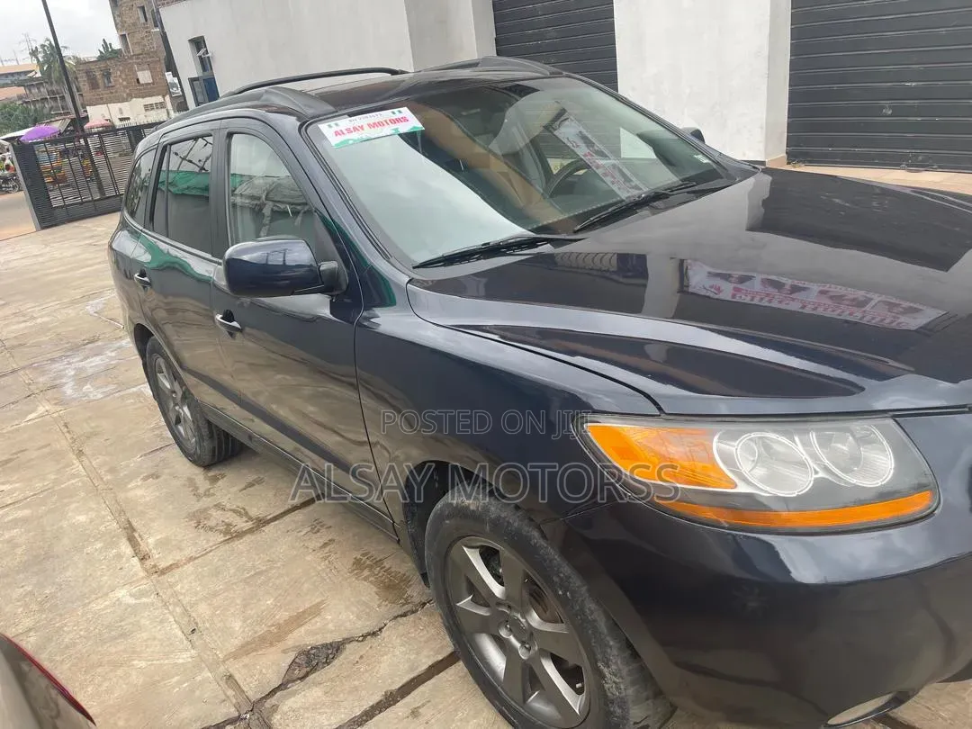 Hyundai Santa Fe 2009 Blue