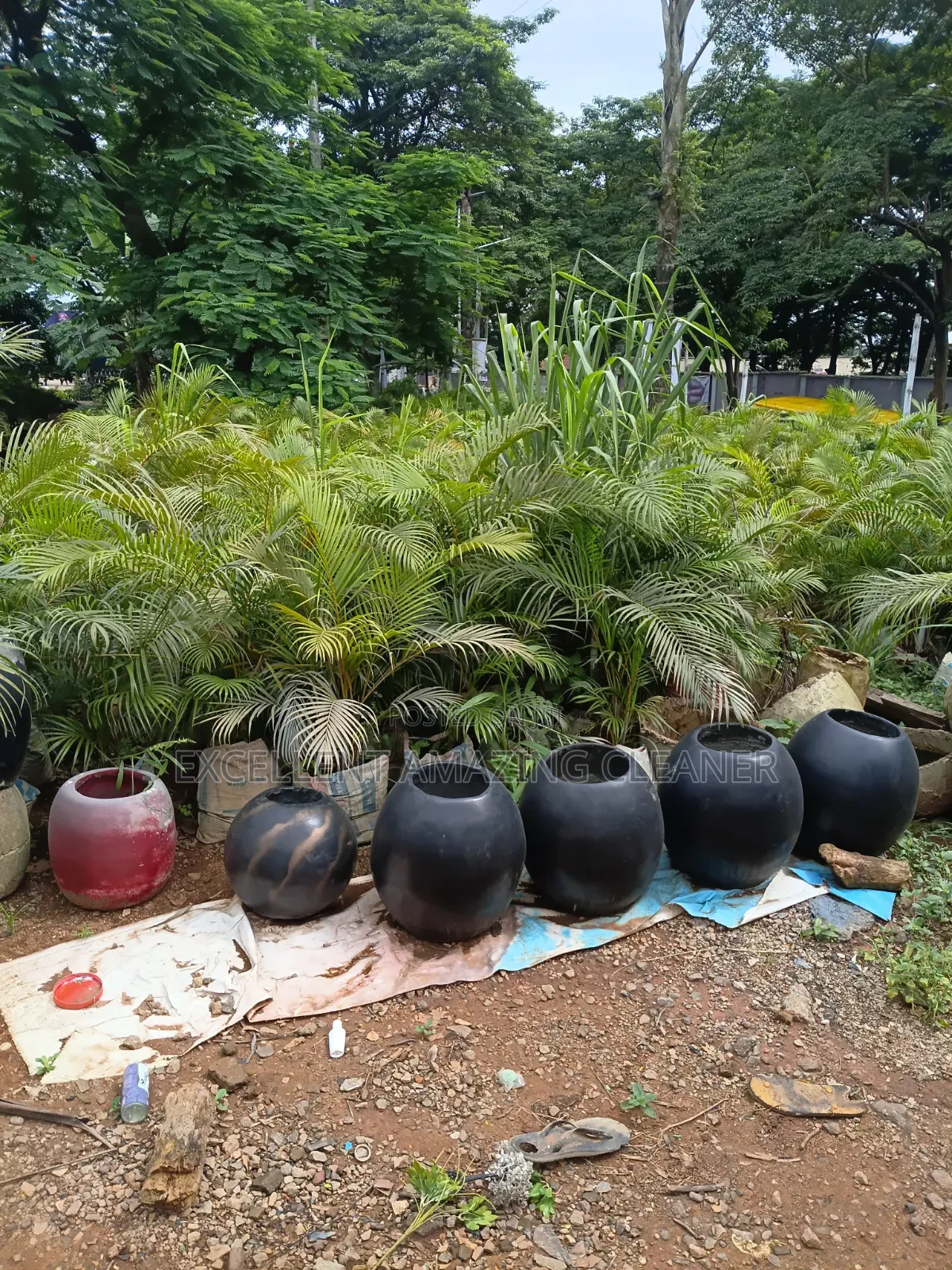 Flower Supply/ Gardener Service