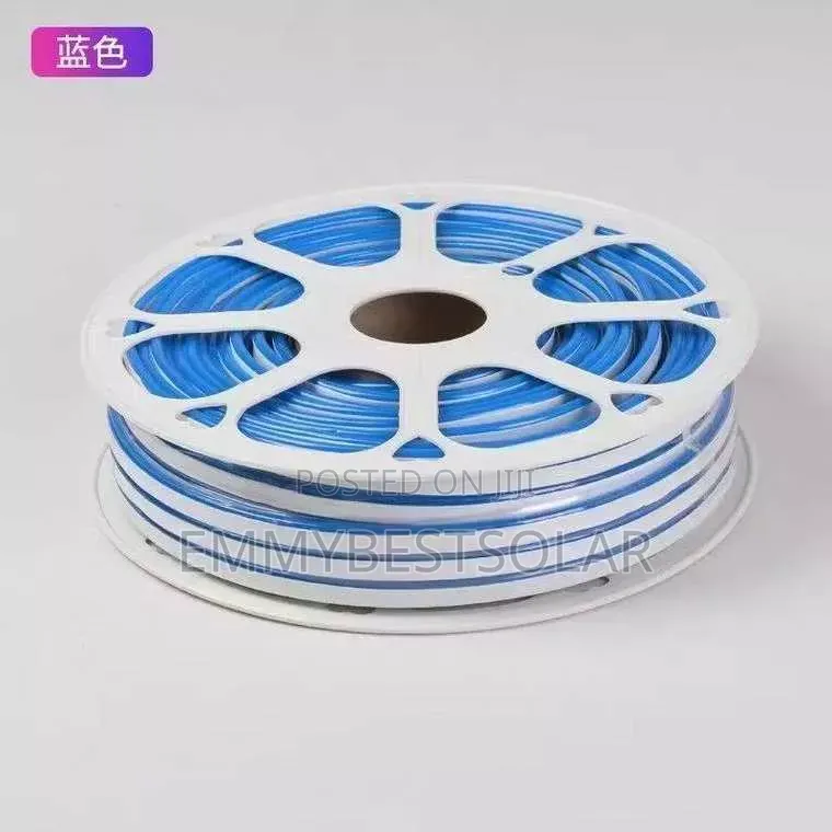 12v Blue Neon Rope Light
