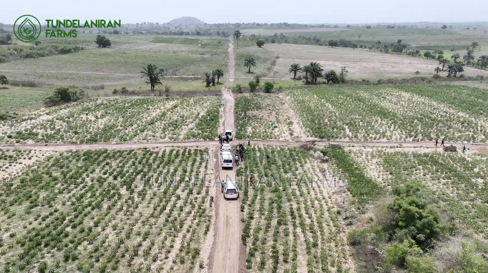 Farm Lands for Sale With Farm Management Services