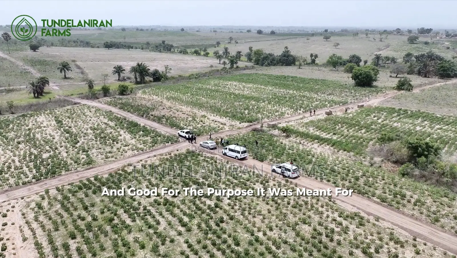 Farm Lands for Sale With Farm Management Services